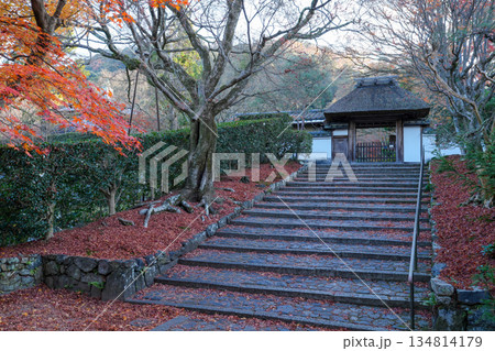京都・東山の鹿ヶ谷安楽寺（美しい紅葉の京都の穴場） 134814179