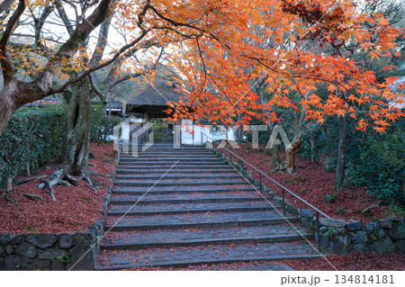 京都・東山の鹿ヶ谷安楽寺（美しい紅葉の京都の穴場） 134814181