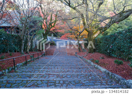 京都・東山の鹿ヶ谷安楽寺(美しい紅葉の京都の穴場) 京都・東山の鹿ヶ谷安楽寺(美しい紅葉の京都の穴場) 134814182