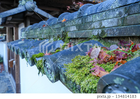 京都・東山の鹿ヶ谷安楽寺(美しい紅葉の京都の穴場) 京都・東山の鹿ヶ谷安楽寺(美しい紅葉の京都の穴場) 134814183