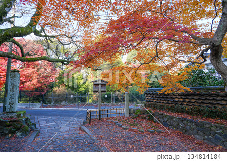 京都・東山の鹿ヶ谷安楽寺(美しい紅葉の京都の穴場) 京都・東山の鹿ヶ谷安楽寺(美しい紅葉の京都の穴場) 134814184