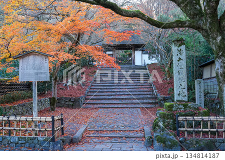 京都・東山の鹿ヶ谷安楽寺(美しい紅葉の京都の穴場) 京都・東山の鹿ヶ谷安楽寺(美しい紅葉の京都の穴場) 134814187