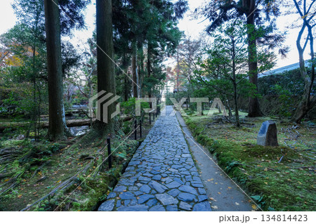 紅葉の秋、京都・東山の法然院 134814423