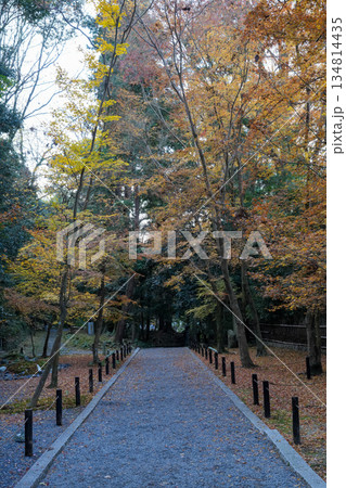 紅葉の秋、京都・東山の法然院 134814435