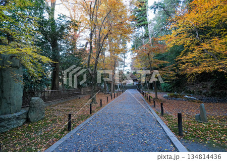 紅葉の秋、京都・東山の法然院 紅葉の秋、京都・東山の法然院 134814436