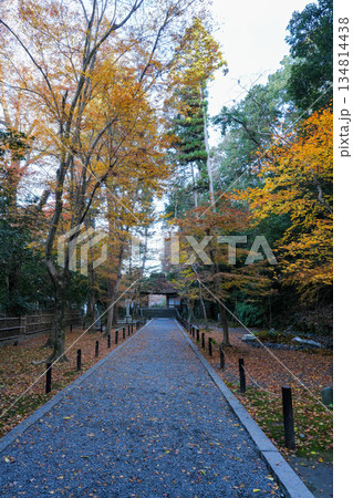 紅葉の秋、京都・東山の法然院 紅葉の秋、京都・東山の法然院 134814438