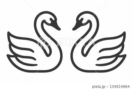 Simple line illustration of a white swan 134814664