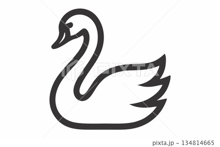 Simple line illustration of a white swan Simple line illustration of a white swan 134814665