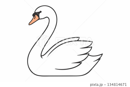 Simple line illustration of a white swan Simple line illustration of a white swan 134814671