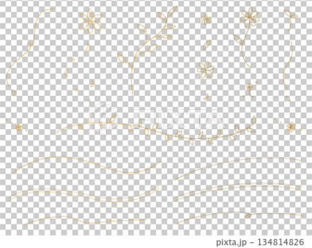 シンプルな花と葉:金色の線画イラストセット シンプルな花と葉:金色の線画イラストセット 134814826