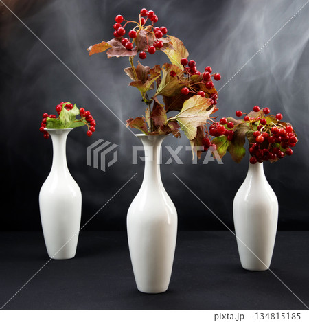 Still life with red viburnum 134815185