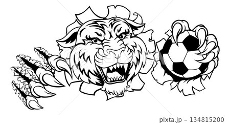 Tiger Soccer Football Animal Sports Team Mascot 134815200