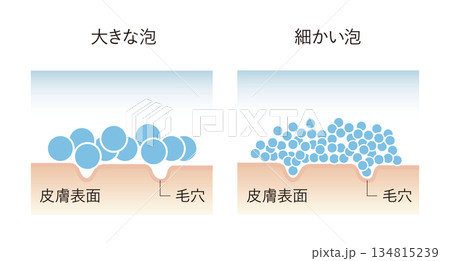泡の大きさ 134815239