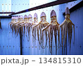 天日干しされているタコ 134815310