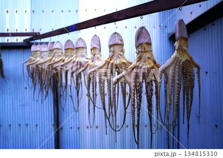 天日干しされているタコ 134815310