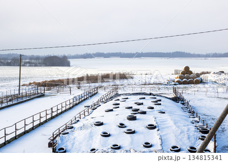 Frozen waterfront with rustic elements, Snowy industrial landscape with rural tranquility Frozen waterfront with rustic elements, Snowy industrial landscape with rural tranquility 134815341