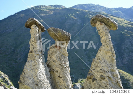 Stunning scenery of the stone mushrooms natural rock formations in the Altai Reserve Stunning scenery of the stone mushrooms natural rock formations in the Altai Reserve 134815368