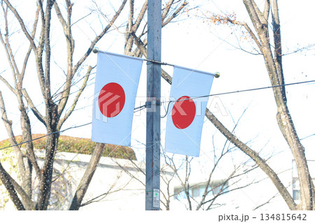 【日本の国旗】日の丸、表参道付近の街並み 134815642