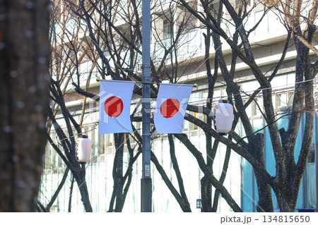 【日本の国旗】日の丸、表参道付近の街並み 134815650