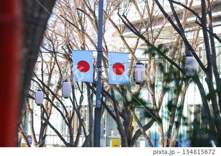 【日本の国旗】日の丸、表参道付近の街並み 134815672