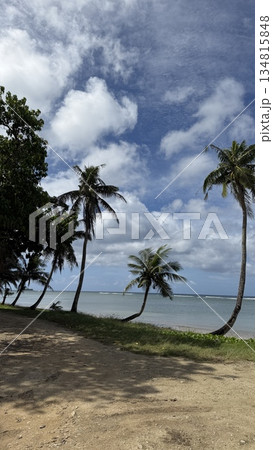 南国の海に浮かぶ島 134815848
