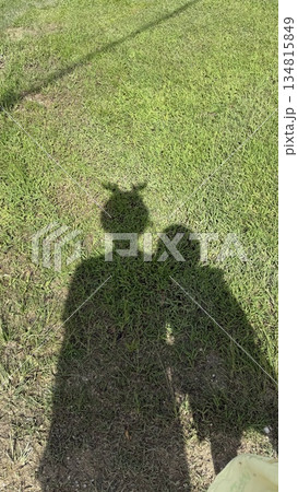 親子で歩く影 134815849