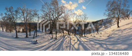 藻琴峠の夕日と雨氷の木 藻琴峠の夕日と雨氷の木 134816480