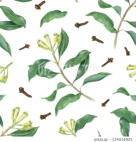 Flowering clove branches and dried aromatic spice buds watercolor seamless pattern on isolated background. Aromatic plant with fresh unripe buds illustration. Spice ornate for kitchen textile design. Flowering clove branches and dried aromatic spice buds watercolor seamless pattern on isolated background. Aromatic plant with fresh unripe buds illustration. Spice ornate for kitchen textile design. 134816985