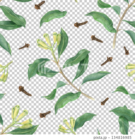 Flowering clove branches and dried aromatic spice buds watercolor seamless pattern on isolated background. Aromatic plant with fresh unripe buds illustration. Spice ornate for kitchen textile design. Flowering clove branches and dried aromatic spice buds watercolor seamless pattern on isolated background. Aromatic plant with fresh unripe buds illustration. Spice ornate for kitchen textile design. 134816985