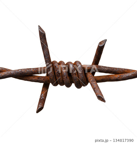 Detailed close-up of old, rusty barbed wire against transparent background, representing danger, restriction, abandonment, or historical boundaries 134817390