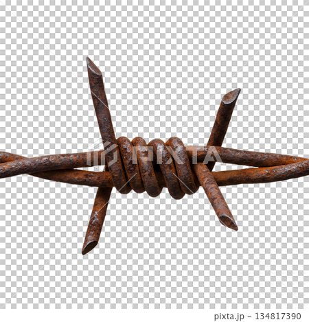 Detailed close-up of old, rusty barbed wire against transparent background, representing danger, restriction, abandonment, or historical boundaries 134817390