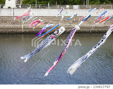 千葉県浦安市境川のこいのぼり 千葉県浦安市境川のこいのぼり 134817797