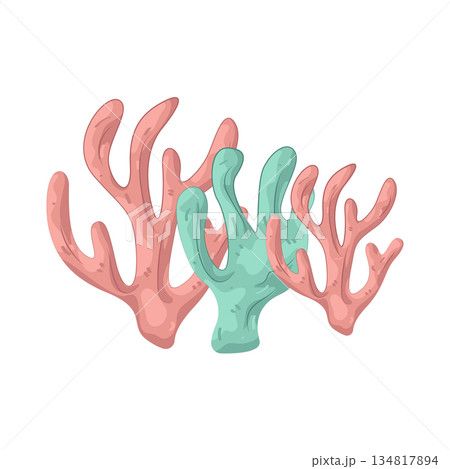 Illustration of coral reef Illustration of coral reef 134817894