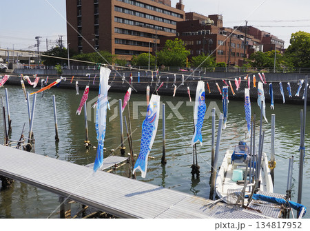 千葉県浦安市境川のこいのぼり 134817952