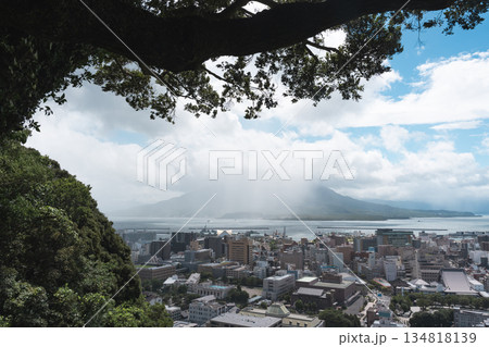 城山展望台から見る桜島 134818139