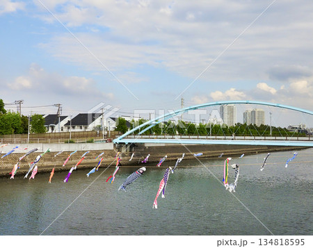 千葉県浦安市境川のこいのぼり 134818595
