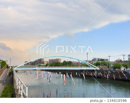 千葉県浦安市境川のこいのぼり 134818596