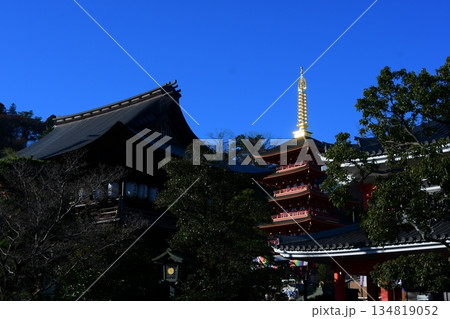 金色に光る高幡不動尊の五重塔 金色に光る高幡不動尊の五重塔 134819052