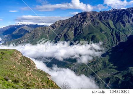 Colca Canyon with a clear blue sky, Peru Colca Canyon with a clear blue sky, Peru 134820303