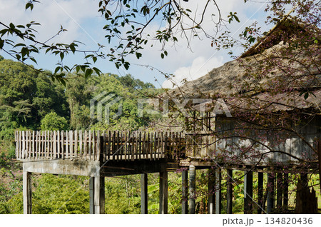 A serene view of an elevated house in a forest, the house offers stunning nature views 134820436