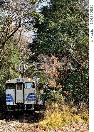自然豊かな森の中を走る抜ける北条鉄道のキハ40系気動車はJRの東日本の五能線から譲渡されました 自然豊かな森の中を走る抜ける北条鉄道のキハ40系気動車はJRの東日本の五能線から譲渡されました 134820889