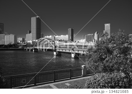 遊歩道となった豊洲「晴海橋梁 (旧晴海鉄道橋) 」 2025年12月 遊歩道となった豊洲「晴海橋梁 (旧晴海鉄道橋) 」 2025年12月 134821085