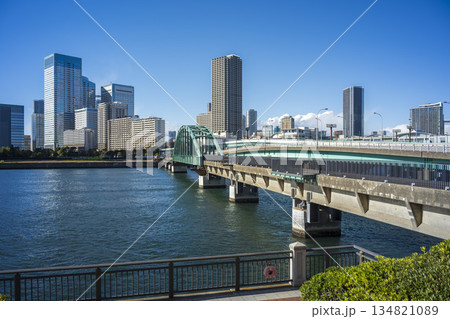 遊歩道となった豊洲「晴海橋梁 (旧晴海鉄道橋) 」　2025年12月 134821089