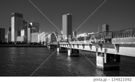 遊歩道となった豊洲「晴海橋梁 (旧晴海鉄道橋) 」 2025年12月 遊歩道となった豊洲「晴海橋梁 (旧晴海鉄道橋) 」 2025年12月 134821092