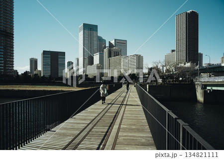 遊歩道となった豊洲「晴海橋梁 (旧晴海鉄道橋) 」 2025年12月 遊歩道となった豊洲「晴海橋梁 (旧晴海鉄道橋) 」 2025年12月 134821111