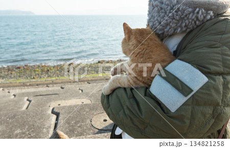 猫を抱く人 茶トラ猫 猫を抱く人 茶トラ猫 134821258