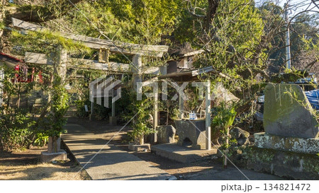 白髭神社（小網代の森の鎮守様） 134821472