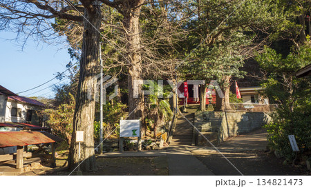 白髭神社(小網代の森の鎮守様) 白髭神社(小網代の森の鎮守様) 134821473