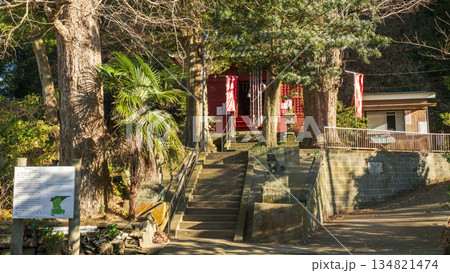 白髭神社（小網代の森の鎮守様） 134821474