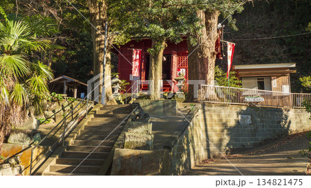 白髭神社(小網代の森の鎮守様) 白髭神社(小網代の森の鎮守様) 134821475